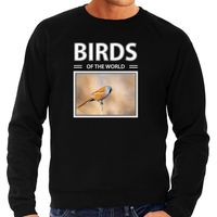 Baardmannetjes vogel sweater / trui met dieren foto birds of the world zwart voor heren - thumbnail