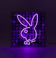 Playboy - Glazen Neon Box - Disco Bunny Paars