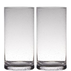 Set van 2x stuks transparante home-basics cylinder vorm vaas/vazen van bubbel glas 30 x 15 cm