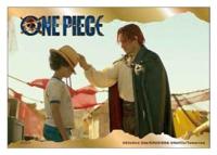 One Piece Mystery mini puzzle Display (8)