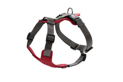 Hondentuig Aalborg Mixed Rood