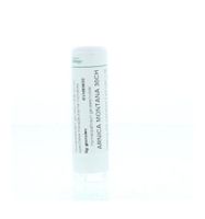 Arnica montana 30CH