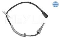 Sensor, uitlaatgastemperatuur 1148000207
