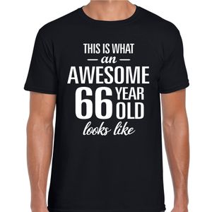 Awesome 66 year / 66 jaar cadeau t-shirt zwart heren