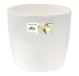Brussels orchidee 12,5cm transparant - Elho