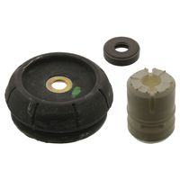 Veerpootvoering 03341