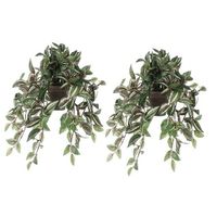 2x Groene Tradescantia/vaderplant kunstplant 45 cm pot