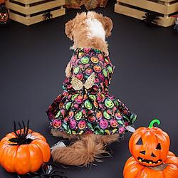 Honden Halloween outfits Hondenkostuum Bats Pompoen leuke Style Zacht Halloween Carnaval Feest Hond puppy kleding outfits Lightinthebox