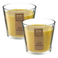 Atmosphera geurkaars Nina - 2x - citronella - 500 g - citroengras - 40 uur - zomer