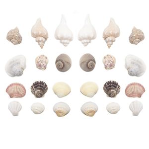 Decoratie/hobby schelpen mix 450 gram