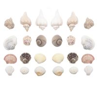 Decoratie/hobby schelpen mix 450 gram - thumbnail