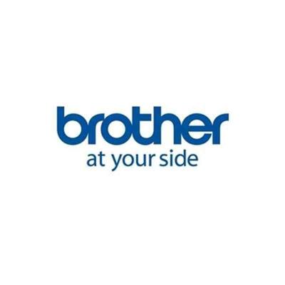 Printerlabels Brother LDP1M050102100I Wit (12 Stuks)