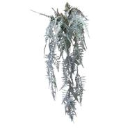 Kunst Hangplant Asperges plumosus bruin