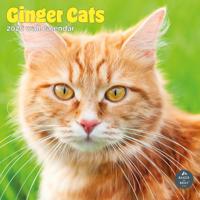 Rode Katten Kalender 2026