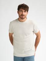 Petrol T-shirt Ss M-1060-tsr621 Print T-shirts 0112 Seashell