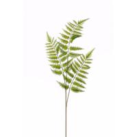Kunstplant - Boomvaren - tak - 85 cm - groen - kunststof decoratie