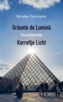 Grăunte de Lumină - Poezie/Gedichten (Paperback)