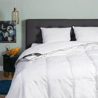 Dekbed Dons 100% Eendendons 4 Seizoenen 140x200 Cm Warmteklasse 1 Winter Plus & Warmteklasse 3 Lente Herfst & Warmteklasse 4 Zomer & Anti Allergie
