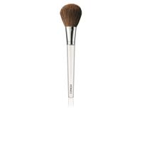 Clinique Powder Brush