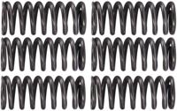 TRW Clutch spring kit mef162-6 TRW Clutch spring kit mef162-6