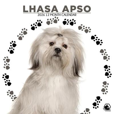 Lhasa Apso Kalender 2026 Lhasa Apso Kalender 2026