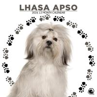 Lhasa Apso Kalender 2026