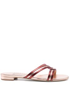 Manolo Blahnik claquettes Gasachan en cuir - Rose
