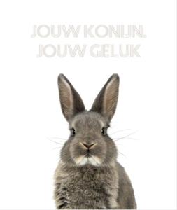 Jouw konijn, jouw geluk (Hardback)