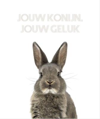 Jouw konijn, jouw geluk (Hardback)