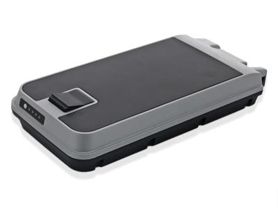 BMZ alber neodrive rear reck 11,6ah