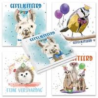 Kaartenmapje Petit Paris - Lama