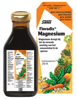Salus Floradix Magnesium - thumbnail