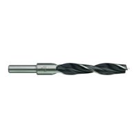 Milwaukee Accessoires Houtboor 15 x 151 mm - 4932363663
