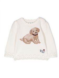 POLO RALPH LAUREN KIDS pull Golden Labrador en laine - Blanc