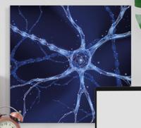 Abstract canvas schilderij Hersenneuronen