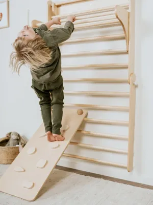 Verstelbare 2-in-1 Klimdriehoek / Klimwand