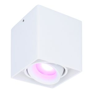 Hofronic Smart WiFi LED opbouw plafondspot Esto Wit incl. 5,5W GU10 RGBWW spot IP20 kantelbaar