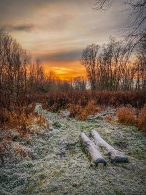 Tuinschilderij winter sunset 130x70 - Customize it