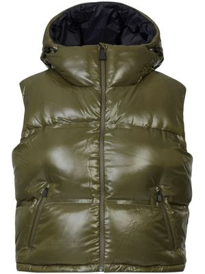 Aztech Mountain gilet matelassé Snowbird - Vert