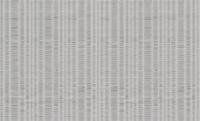 Dutch Wallcoverings Yudashkin 5 10X1,06M - Grijs/Zilver