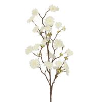 Kunst Bloesemtak 110cm Creme