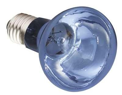 KOMODO NEODYMIUM DAGLICHT LAMP ES