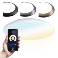Smart plafondlamp - Bulkhead - 25 Watt - 2600 lumen - Ø38cm - IP65 waterdicht - CCT White Ambience - Wifi + Bluetooth - Google Home, Amazon Alexa en Siri - RVS