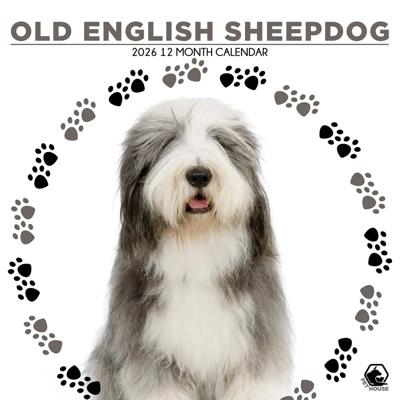 Old English Sheepdog Kalender 2026