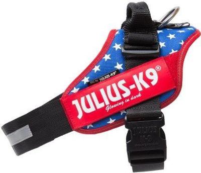 IDC Powertuig Usa - Maat 2
