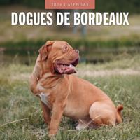 Bordeaux Dog Kalender 2026