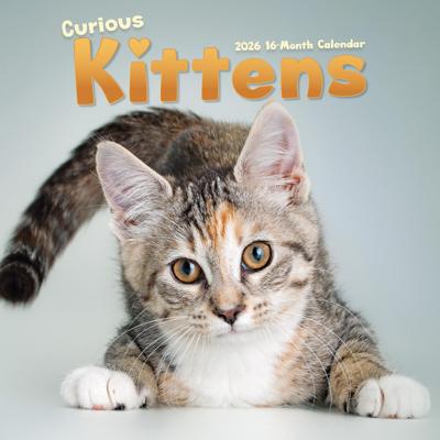 Nieuwsgierige Kittens Kalender 2026