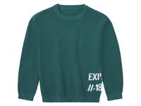lupilu Peuters pullover van zuiver katoen (122/128, Groen)