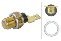 Temperatuursensor 6PT009107691