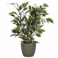 Groen/witte ficus kunstplant 40 cm met plantenpot dennengroen D13.5 en H12.5 cm - Kunstplanten